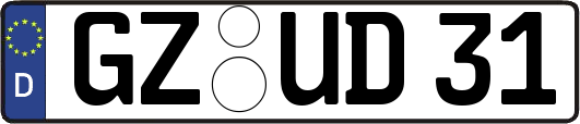 GZ-UD31
