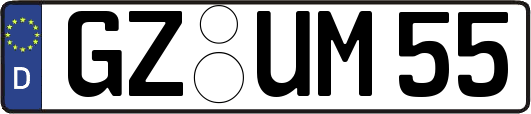 GZ-UM55
