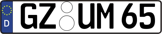 GZ-UM65