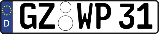 GZ-WP31