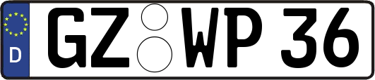 GZ-WP36