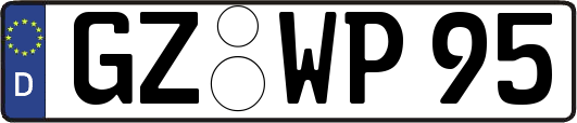 GZ-WP95