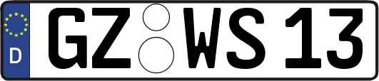 GZ-WS13