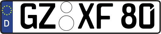 GZ-XF80