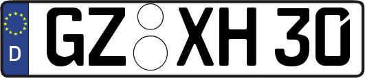 GZ-XH30