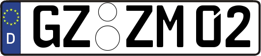 GZ-ZM02