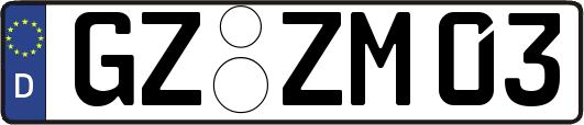 GZ-ZM03
