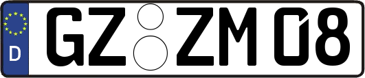 GZ-ZM08