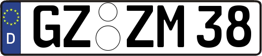 GZ-ZM38