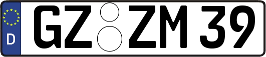 GZ-ZM39