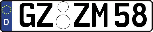 GZ-ZM58
