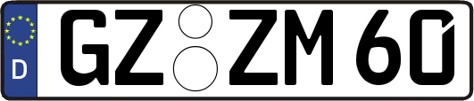 GZ-ZM60