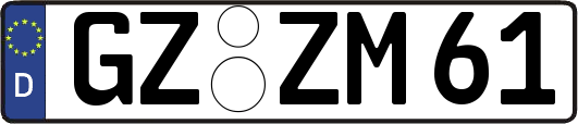GZ-ZM61