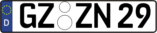 GZ-ZN29