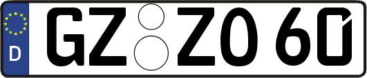 GZ-ZO60