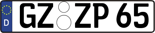 GZ-ZP65