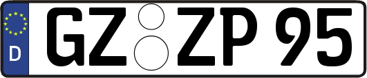 GZ-ZP95