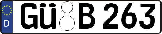 GÜ-B263