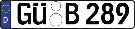 GÜ-B289