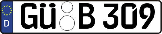 GÜ-B309