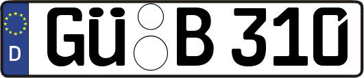 GÜ-B310