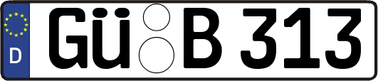 GÜ-B313