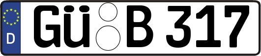 GÜ-B317
