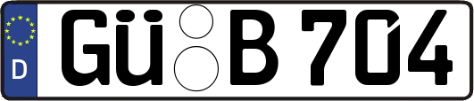 GÜ-B704
