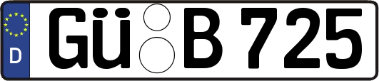 GÜ-B725