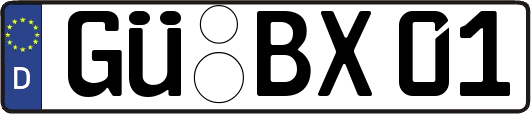 GÜ-BX01