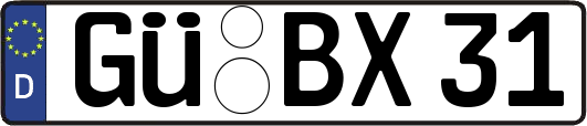 GÜ-BX31