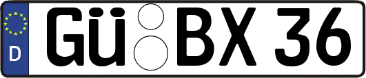 GÜ-BX36