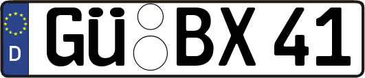 GÜ-BX41