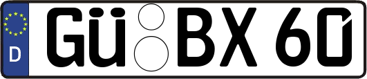 GÜ-BX60