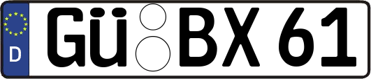 GÜ-BX61