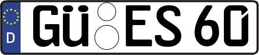 GÜ-ES60