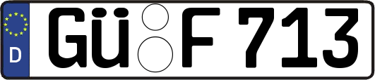 GÜ-F713
