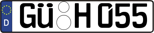 GÜ-H055