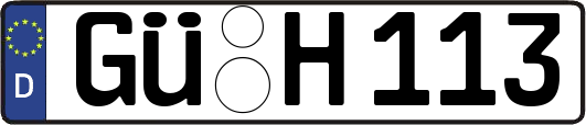GÜ-H113