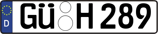 GÜ-H289