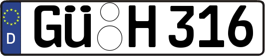GÜ-H316