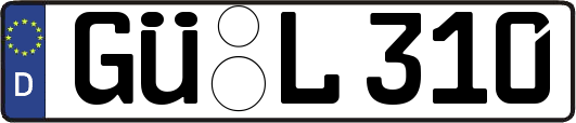 GÜ-L310
