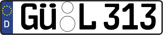 GÜ-L313