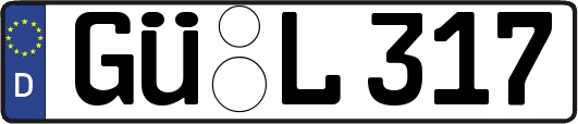 GÜ-L317
