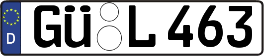 GÜ-L463