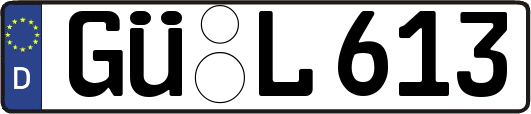 GÜ-L613