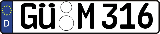 GÜ-M316