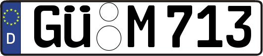 GÜ-M713