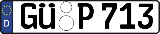 GÜ-P713