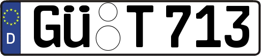 GÜ-T713
